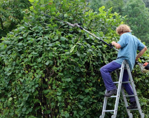 Trimming