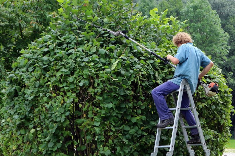 Trimming