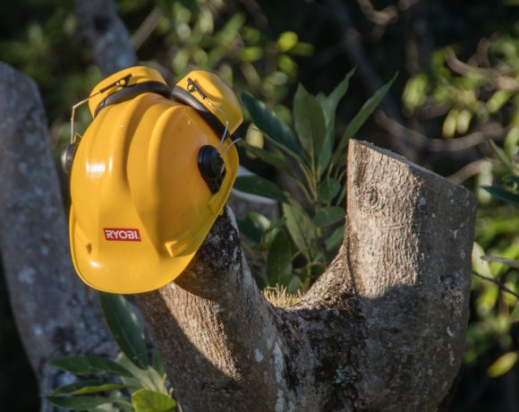 Tree Pruning